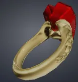 Aeglic Ring, Adjusted