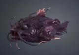 Corinthian Lynxfish