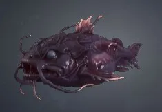 Corinthian Lynxfish