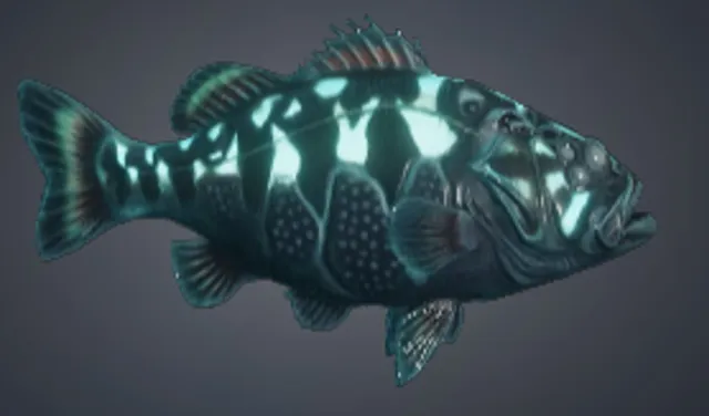 Drainwater Bassling