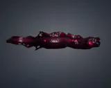 Scyllian Eel