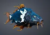 Ancient Crystal Grouper