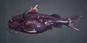 Juvenile Spikefin Catfish