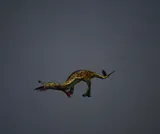 Ambulimax