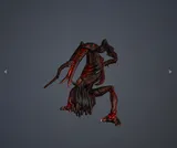 Aurli