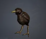Chirpy