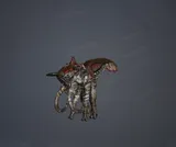 Cornundacauda
