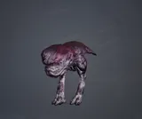 Daspletor