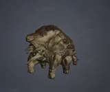 Eomon