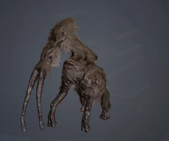 Hispidus