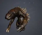 Primordial Longu