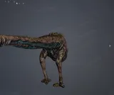 Snablesnot