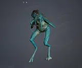 Snarg