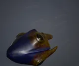 Sonic Squid
