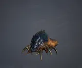 Spina Larva