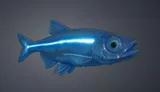 Baitfish