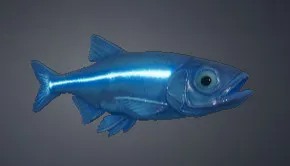 Baitfish