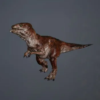 Atrax
