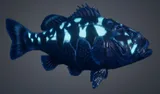 Lumiscale Bass