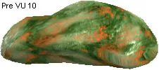 Alferix Stone