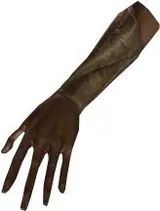 Amazon Arm