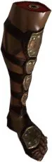 Amazon Leg