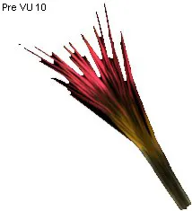 Ambulimax Hair