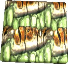 Ambulimax Leather Texture