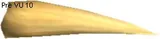 Armax Large Horn