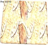Armax Leather Texture