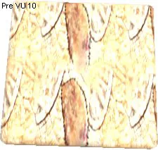 Armax Leather Texture