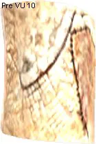 Armax Skin