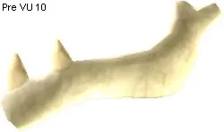 Atrax Jaw