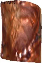 Atrax Skin