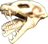 Atrox Skull