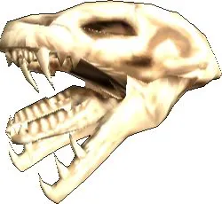Atrox Skull