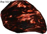 Azzurdite Stone