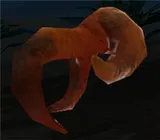 Bahri Claw