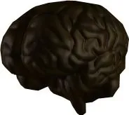 Beladoth Brain