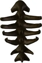 Beladoth Spine