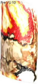 Berycled Skin