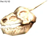 Berycled Skull
