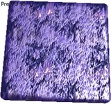 Blausariam Texture