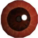 Boar Eye