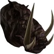 Boar Head