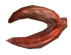 Caboria Clam