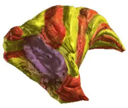 Caboria Shell