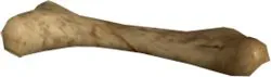 Calypso Bone Sample