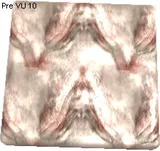 Caudatergus Leather Texture
