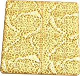 Cheetah Texture